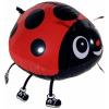 Ladybird