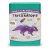 Wood and Clay 3D Modelling Make Animals Kits - Make A Dinosaur