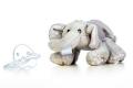 Baby  Elephant