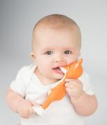 Teething Collection