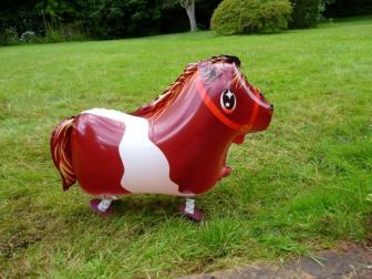 Pony