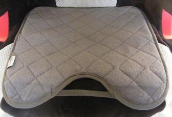 Coverdry Car seat Protector