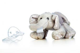 Baby  Elephant