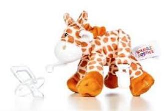 Baby Giraffe
