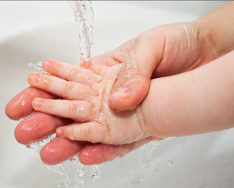 Pestle and Mortar - Essentials- The Hand Wash- 300ml